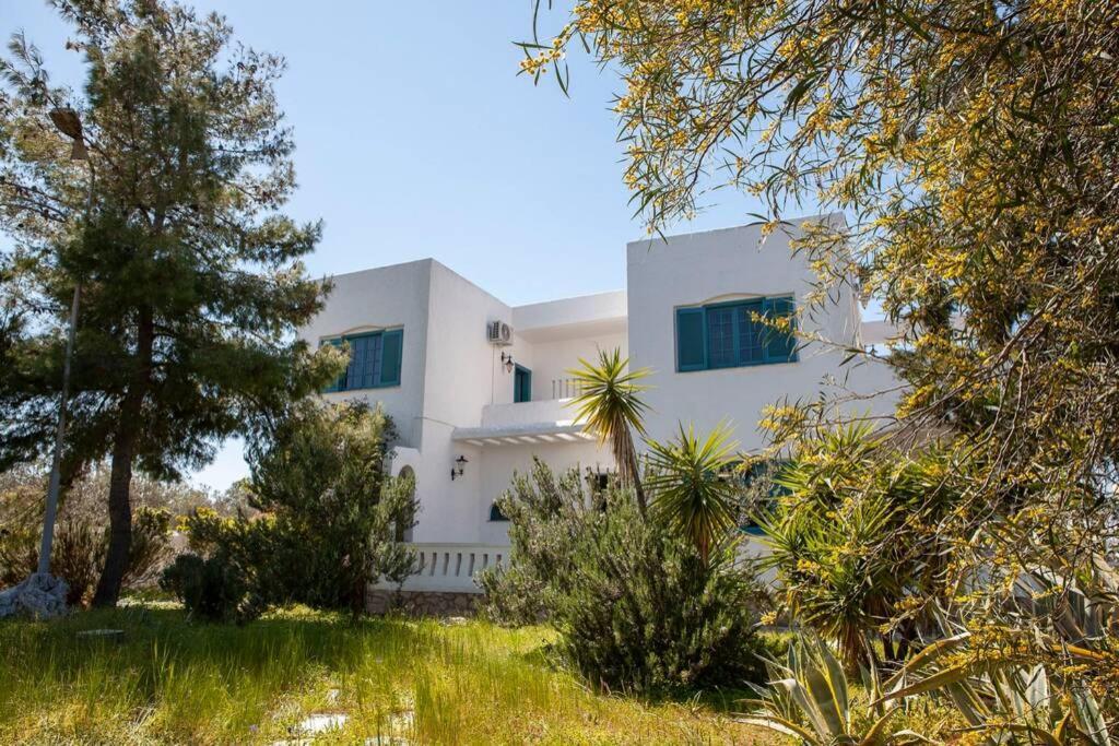 Villa Velissarios: Wonderful Villa Next To Beach Aegina Extérieur photo