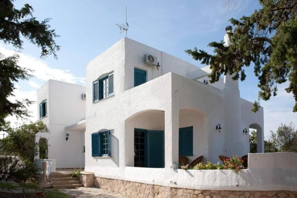 Villa Velissarios: Wonderful Villa Next To Beach Aegina Extérieur photo