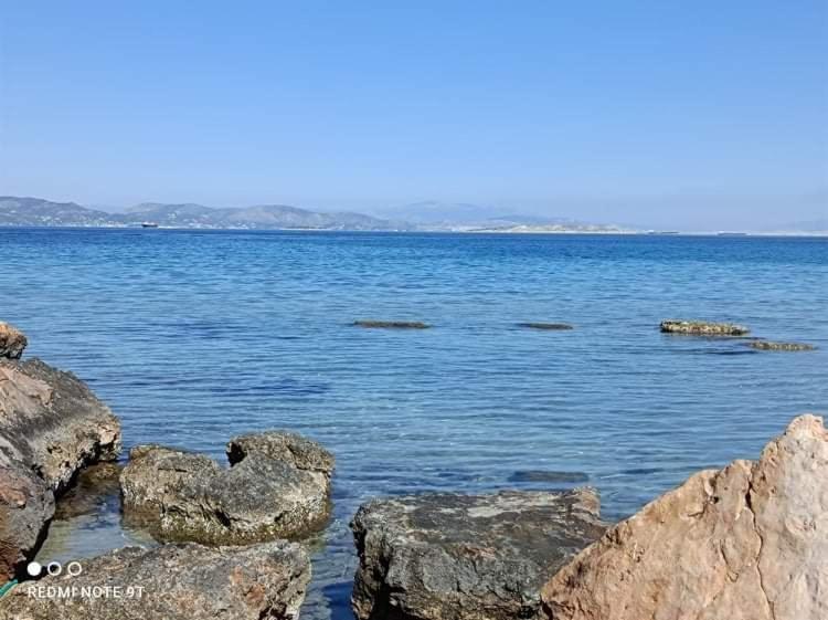 Villa Velissarios: Wonderful Villa Next To Beach Aegina Extérieur photo