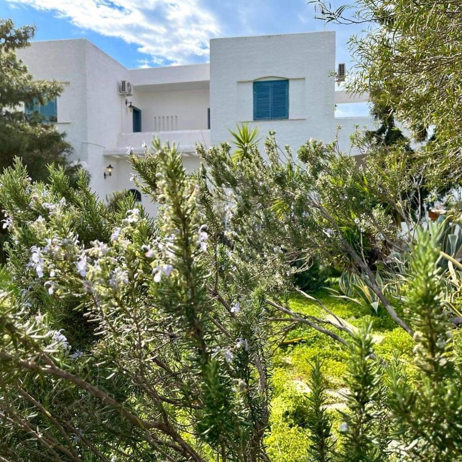 Villa Velissarios: Wonderful Villa Next To Beach Aegina Extérieur photo